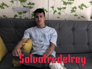 Salvatredelrey