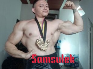 Samsulek