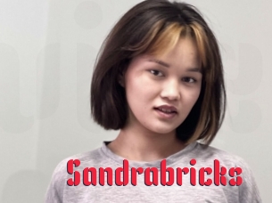 Sandrabricks