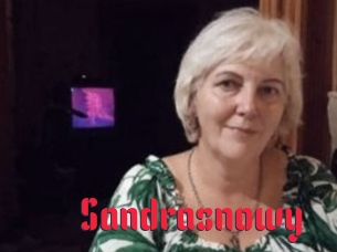 Sandrasnowy