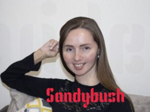 Sandybush