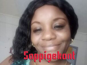 Sappigekont