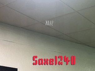 Saxe1240