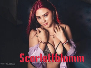 Scarlettblumm