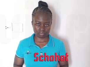 Schohot