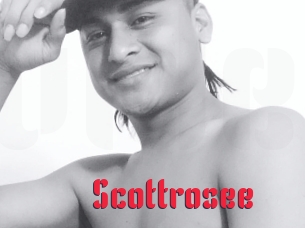 Scottrosee
