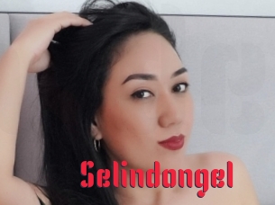 Selindongel
