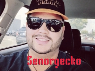 Senorgecko
