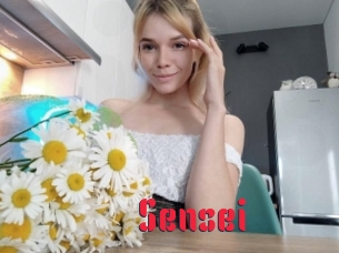 sensei Video Extrait