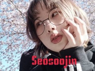 Seosoojin