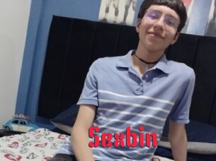 Sexbin