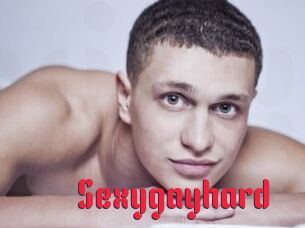 Sexygayhard