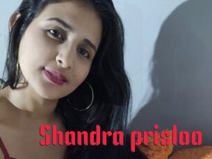 Shandra_prisloo