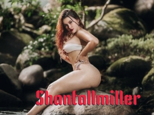 Shantallmiller