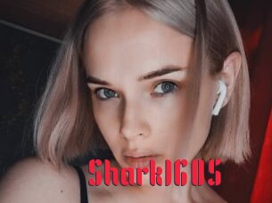 Shark1605