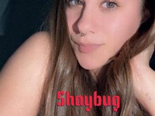 Shaybug