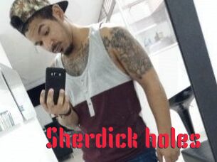 Sherdick_holes