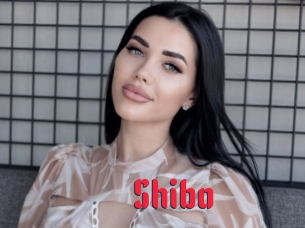 Shibo