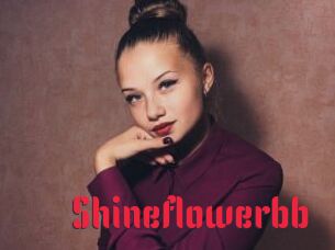 Shineflowerbb