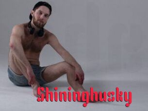 Shininghusky