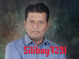 Siliboy7291