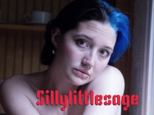 Sillylittlesage