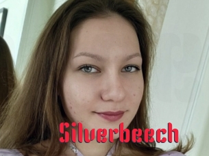 Silverbeech