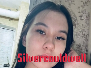 Silvercauldwell