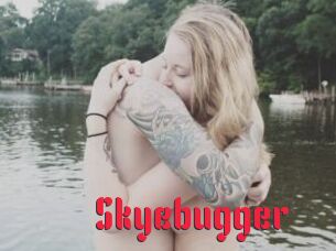 Skyebugger