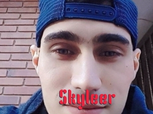 skyleer Video Extrait