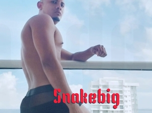 Snakebig