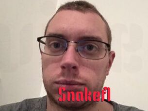 Snakefl