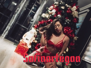 Sofiaortegaa