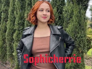 Sophicherrie