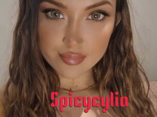 Spicycylia