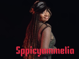 Sppicyammelia