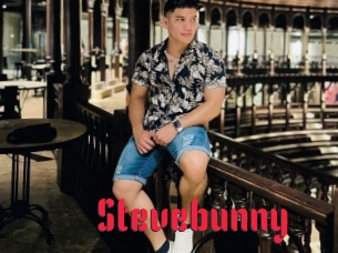 stevebunny Video Extrait