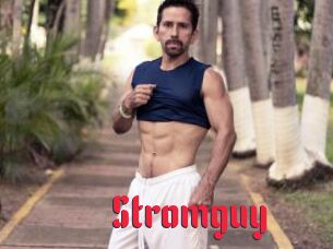 Stromguy