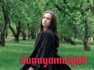 Sunnyamelybb