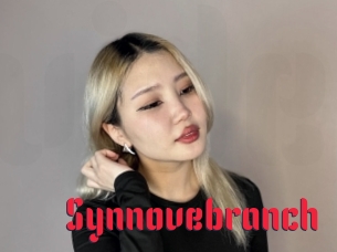 Synnovebranch