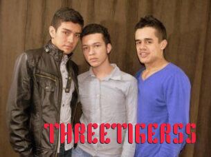 THREETIGERSS Video Extrait
