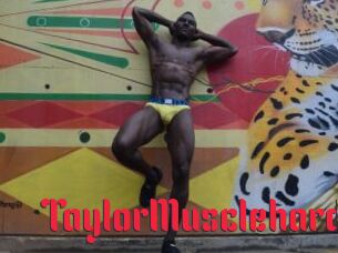 TaylorMusclehard
