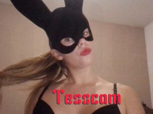 Tesscam