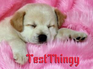 TestThingy