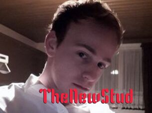 TheNewStud