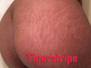 Tigerstripe