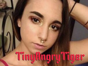 TinyAngryTiger