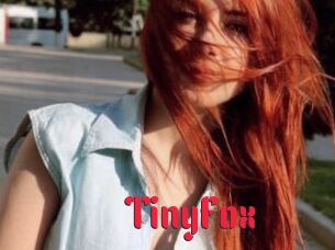 TinyFox