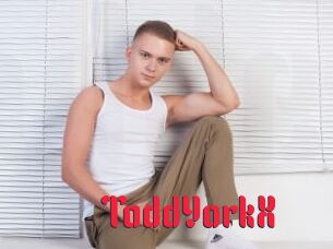 ToddYorkX