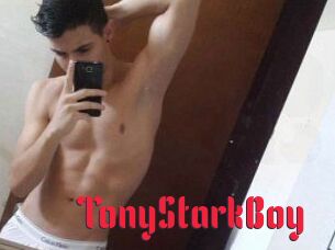 TonyStarkBoy